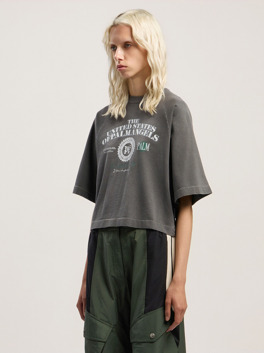 camiseta corta dollar