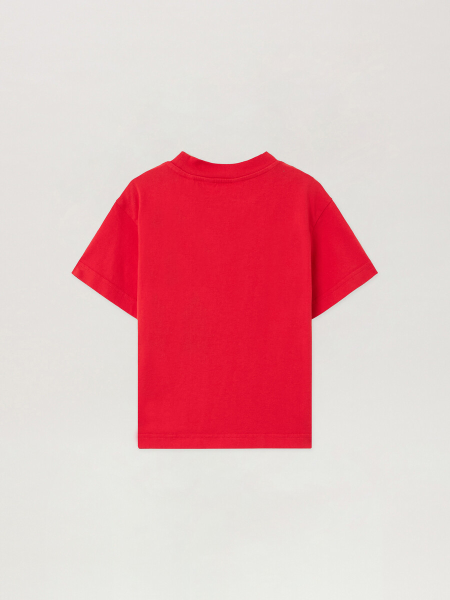 camiseta gráfica spray bear